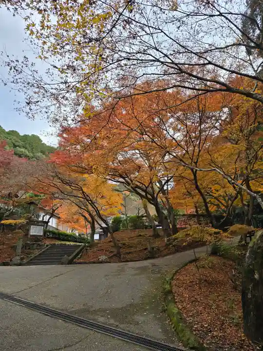 高徳庵 (最勝院)(京都府)