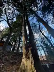 月山神社(岩手県)