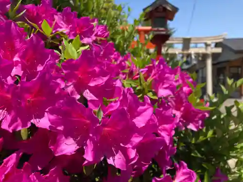 總社 和田八幡宮の自然