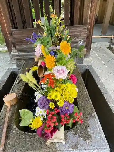 勝林寺(京都府)