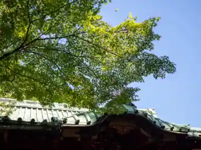 赤坂氷川神社(東京都)