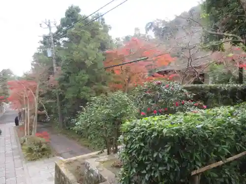 海蔵寺の景色