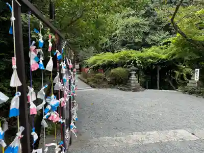 富士山本宮浅間大社(静岡県)