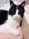 やみゅうさんのプロフィール画像
