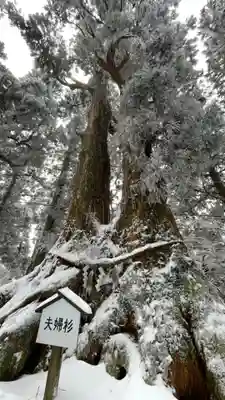 葛木神社の自然