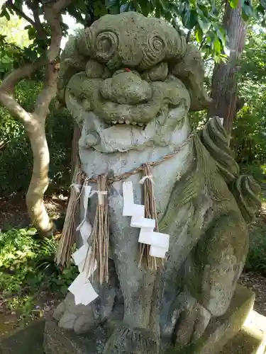 中川熊野神社の狛犬