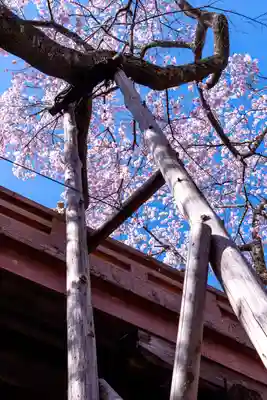 新城藤原神社(長野県)