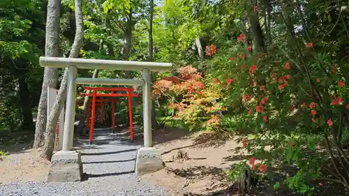 茶釜稲荷神社(茨城県)