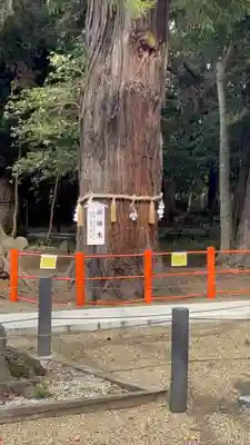 息栖神社(茨城県)