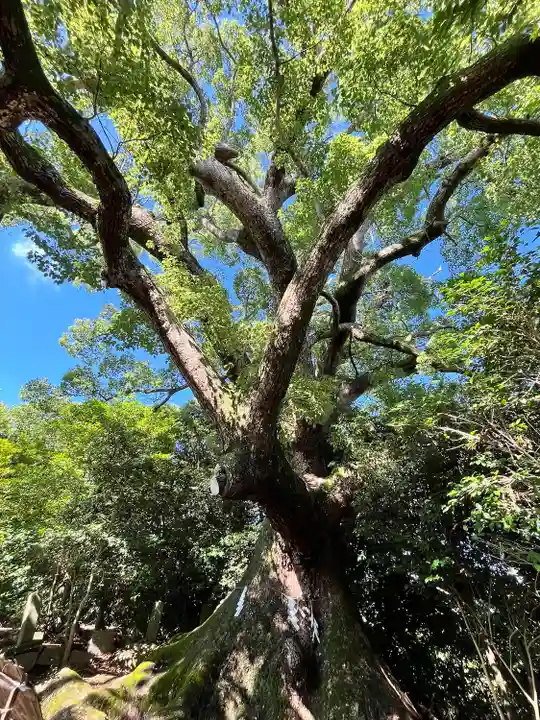 壺井八幡宮(大阪府)