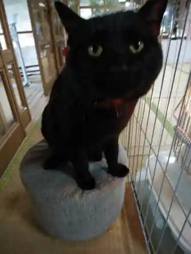 高司神社〜むすびの神の鎮まる社〜(福島県)