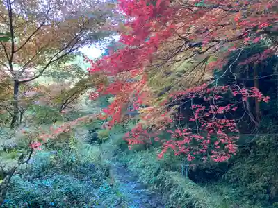 龍蔵寺(兵庫県)