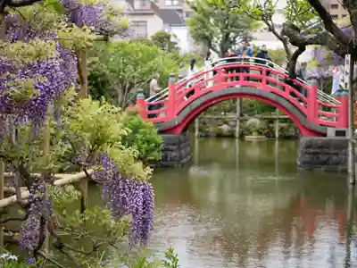亀戸天神社(東京都)