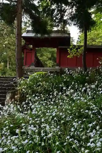 妙義神社(群馬県)