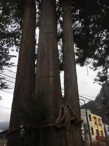 奥氷川神社のその他建物