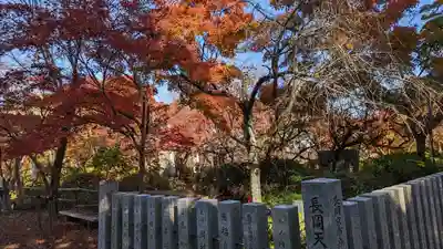 長岡天満宮(京都府)