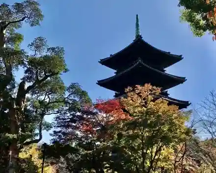 八事山 興正寺の塔