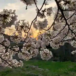 滑川神社 - 仕事と子どもの守り神(福島県)(2025年04月19日(土) 11時10分32秒投稿)
