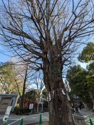 鳩森八幡神社(東京都)