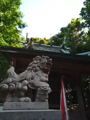 須賀神社の狛犬