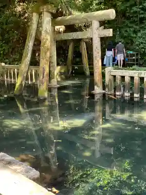 鹿島神宮(茨城県)