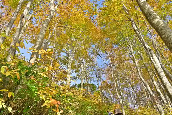 八海神社(新潟県)