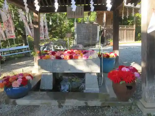 小鹿神社(埼玉県)