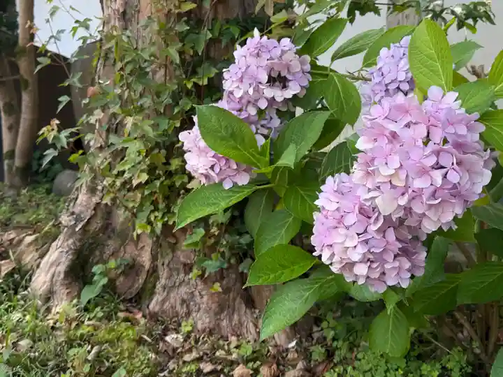 西方山極楽寺(岐阜県)