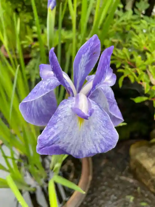 天鏡院(京都府)