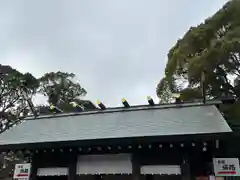 伊勢山皇大神宮(神奈川県)