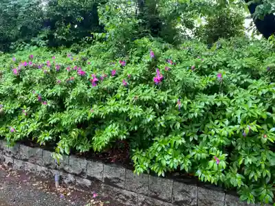 前原御嶽神社(千葉県)