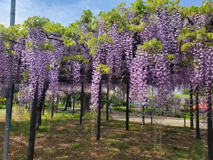 大天白神社(埼玉県)