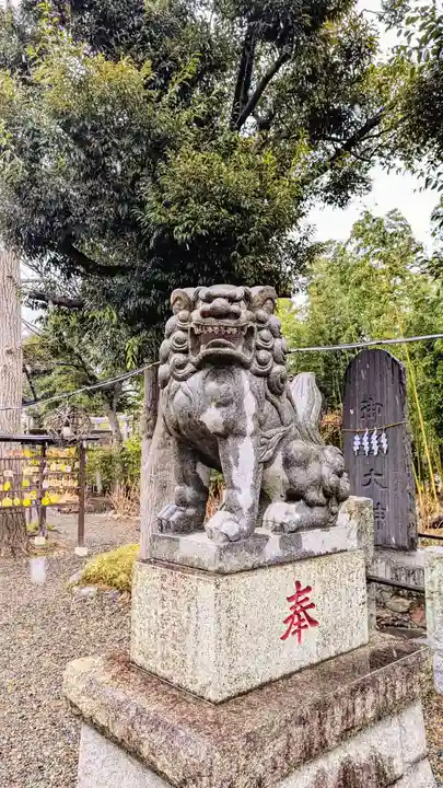 菊田神社の狛犬