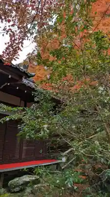 霊鑑寺門跡(京都府)