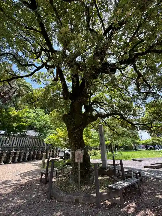 岐阜信長神社(橿森神社境内摂社)(岐阜県)
