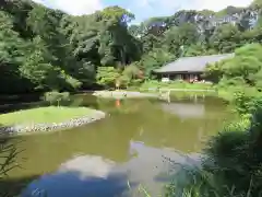 浄瑠璃寺の庭園