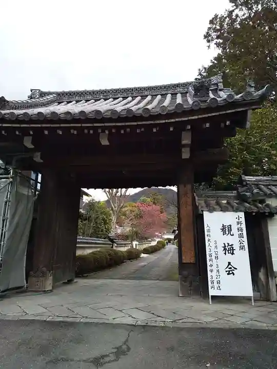 隨心院(随心院)(京都府)