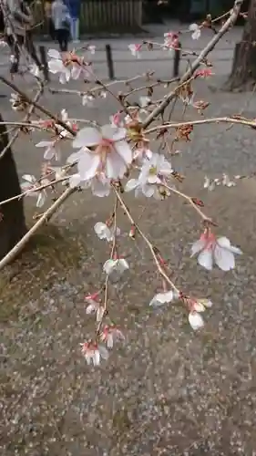 熱田神宮の自然