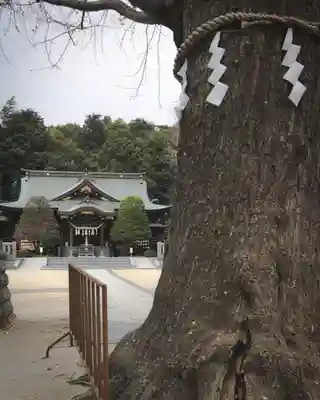 春日部八幡神社(埼玉県)