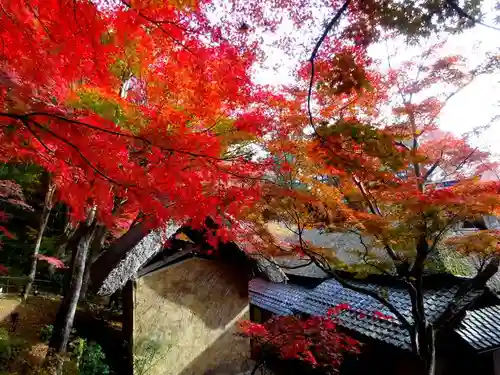 教林坊(滋賀県)