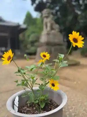 伏木香取神社(茨城県)