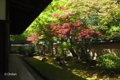 興臨院の庭園