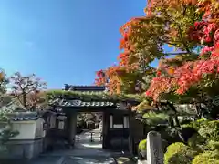 正法寺(京都府)