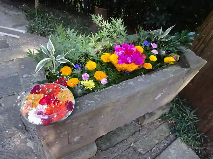 田間神社(千葉県)