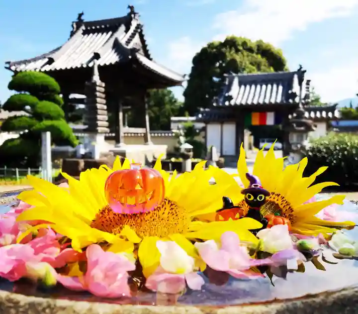 真言宗 善通寺派 薬王寺のその他建物