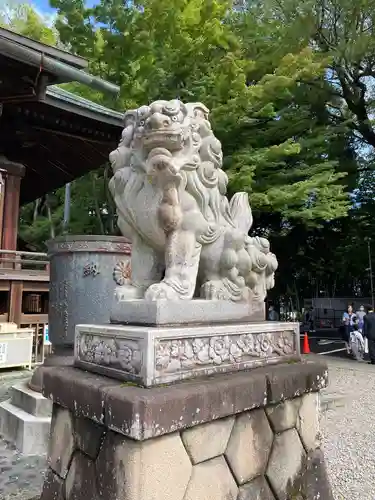 宇都宮二荒山神社の狛犬