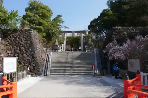 武田神社の鳥居