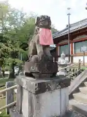 氷室神社の狛犬