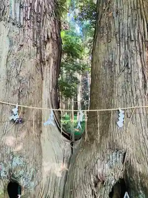 日吉神社(千葉県)