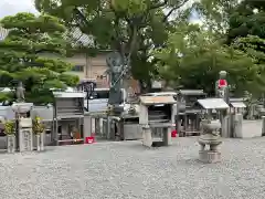 東寺（教王護国寺）(京都府)